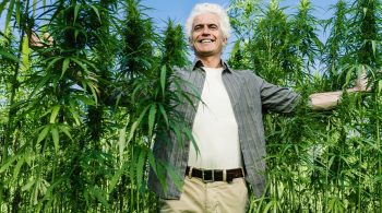 Michigan Cannabis Business