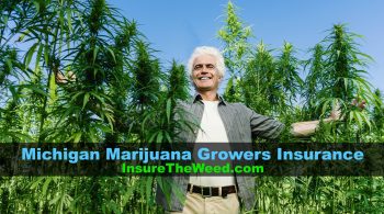 insurance for marijuana growers in michigan