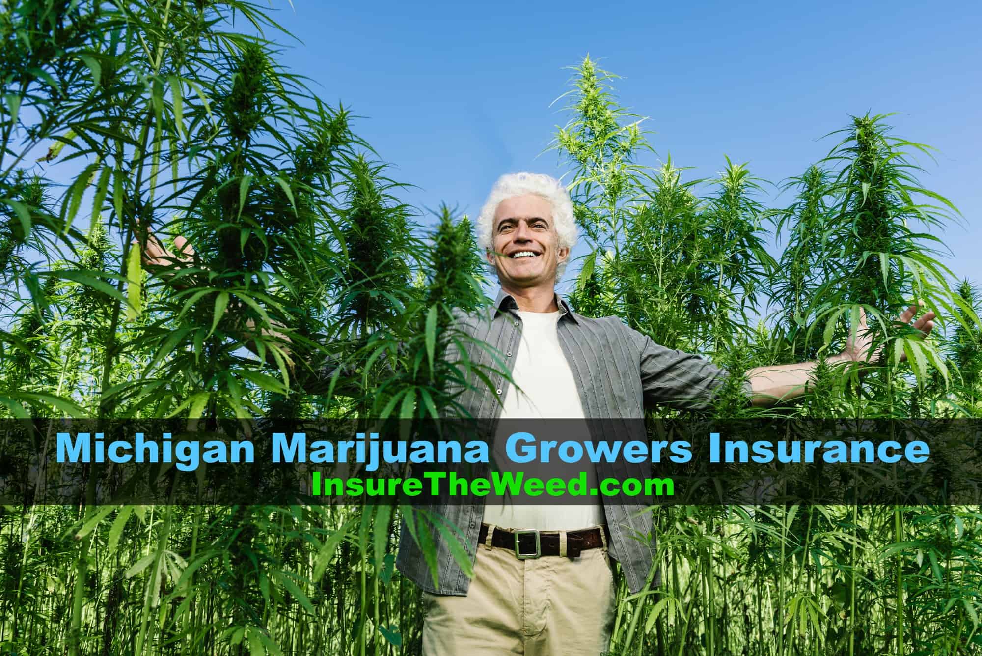 Growing Marijuana Indoors vs. Outdoors – Insuretheweed.com