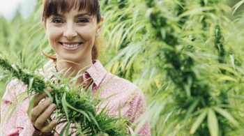 marijuana insurance Michigan