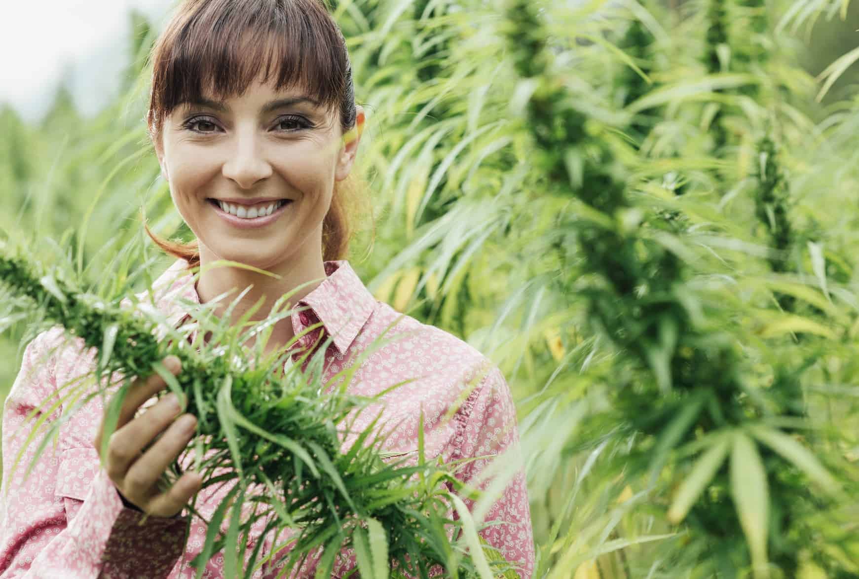Rescinding the Cole Memo: What it Means for Michigan Cannabis Entrepreneurs